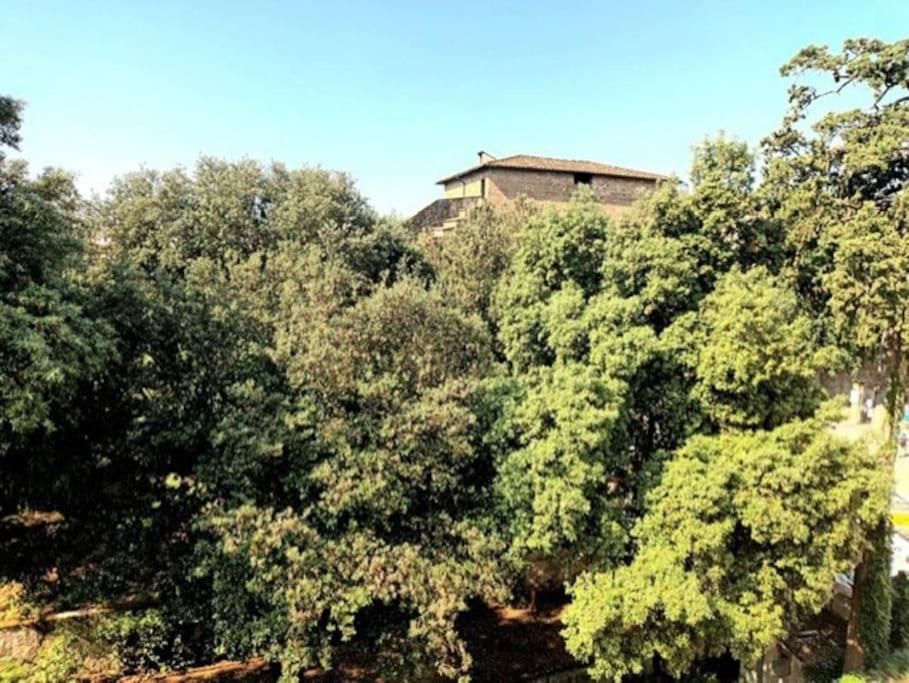 * * * * * Casa Vista Boboli Nel Cuore Di Firenze エクステリア 写真