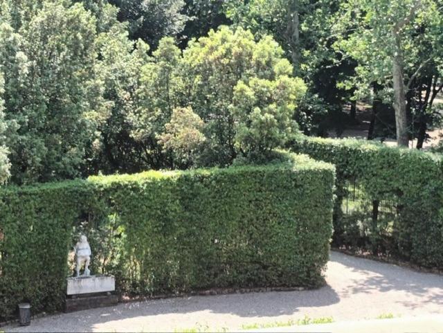 * * * * * Casa Vista Boboli Nel Cuore Di Firenze エクステリア 写真